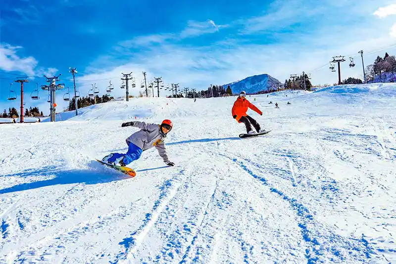 キューピットバレイ