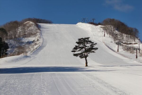 みやぎ蔵王セントメリースキー場